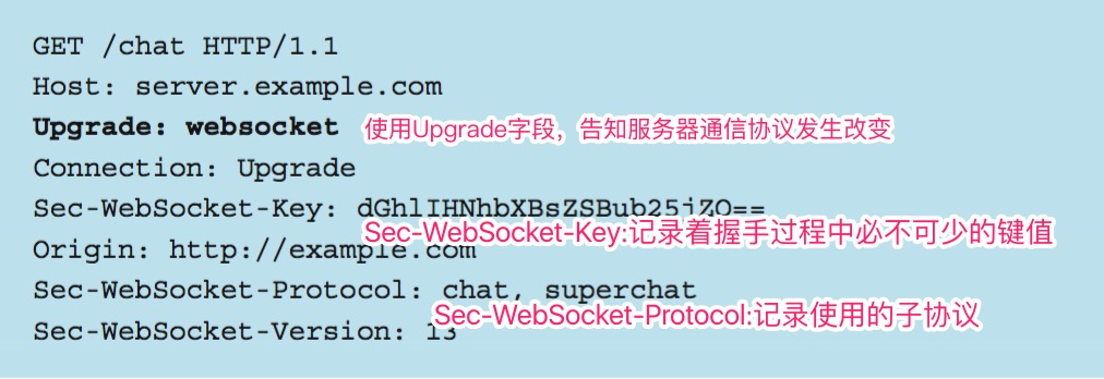 建立WebSocket的请求.jpg